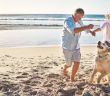 Studie belegt: Haustiere wirken sich positiv auf die Gesundheit (Foto: AdobeStock - 601348051 peopleimages.com)