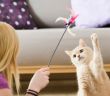 Beschäftigung für Katzen: Spielzeuge mit Leckerli und (Foto: AdobeStock - DoraZett 212139238)