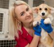 Tierheim Lüneburg: Ein Ort der Nächstenliebe und Hingabe für Tiere in Bedrängnis (Foto: AdobeStock - 264302444 Kate)