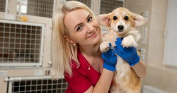 Tierheim Lüneburg: Ein Ort der Nächstenliebe und Hingabe für Tiere in Bedrängnis (Foto: AdobeStock - 264302444 Kate)