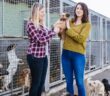 Tierheim Paderborn: Zufluchtsort für heimatlose Tiere (Foto: AdobeStock - 233995097 hedgehog94)
