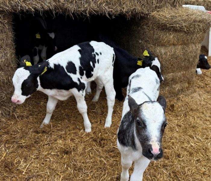 Hochkarätige Tierärzte-Fachtagung am 06.-07.Oktober 2026 (Foto: Agrar- und Veterinär-Akademie (AVA))